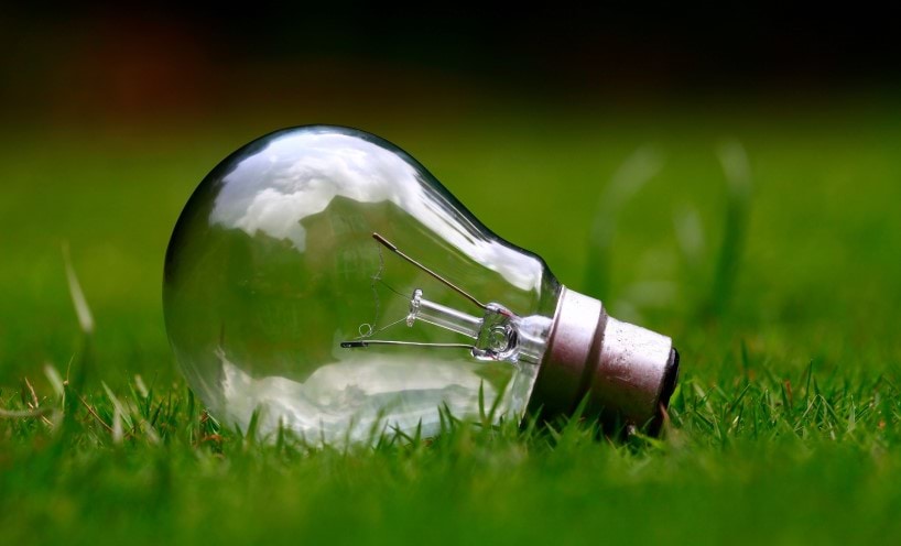 light bulb in the grass